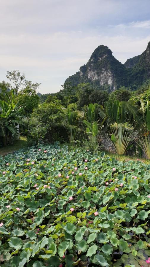 Aravinda Resort Ninh Binh Luaran gambar