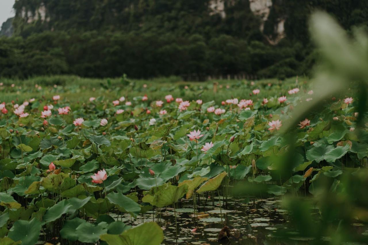 Aravinda Resort Ninh Binh Luaran gambar